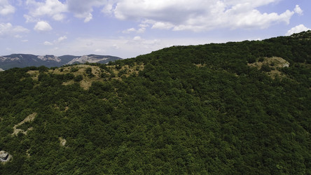 Similar image 22335921