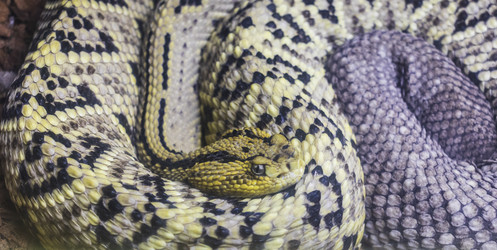 Similar image 22333763