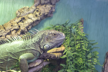 Similar image 22333764