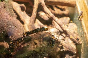 Similar image 22333766