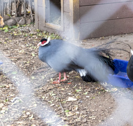 Similar image 22333994