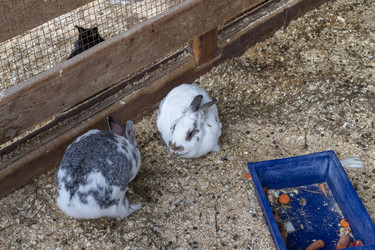 Similar image 22333996