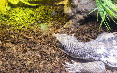 Similar image 22333997