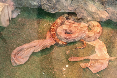 Similar image 22334000