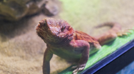 Similar image 22334005