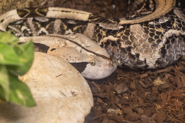 Similar image 22334006