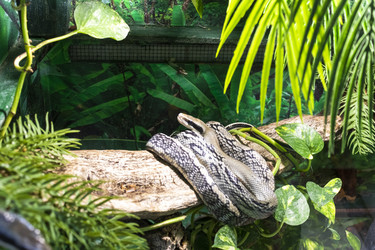 Similar image 22334007