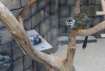 Similar image 22334008