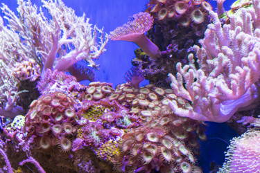 Similar image 22334011