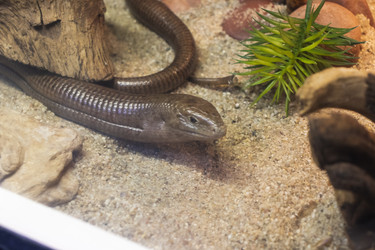 Similar image 22334012