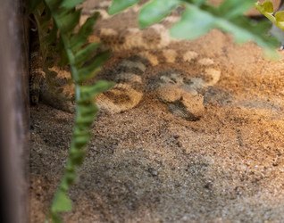 Similar image 22334013