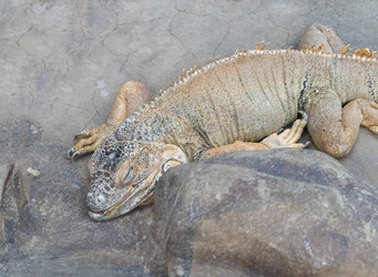 Similar image 22334015