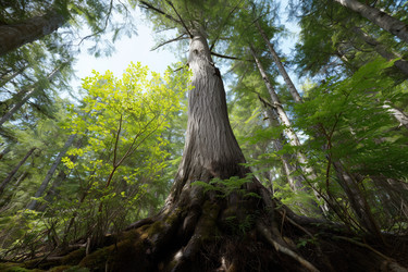 Similar image 22335745