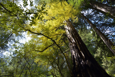 Similar image 22335747