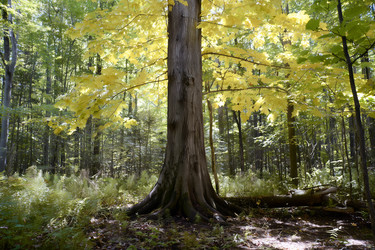 Similar image 22335748