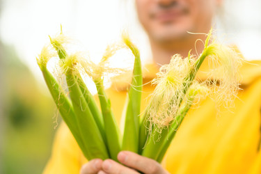 Similar image 22338936