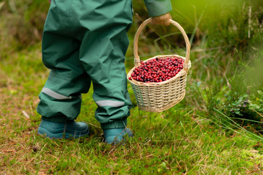 Similar image 22339143