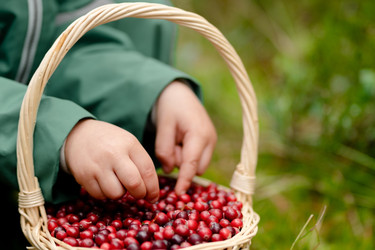 Similar image 22339145