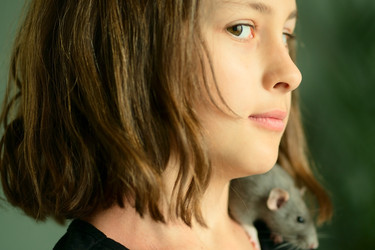 Similar image 22339157