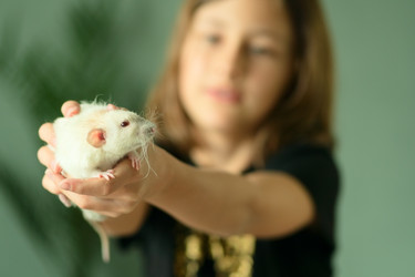 Similar image 22339158