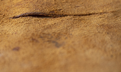 Similar image 22334026