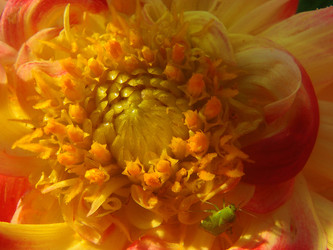 Similar image 22335410