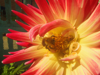 Similar image 22335411