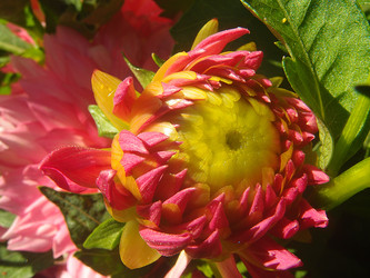 Similar image 22335412