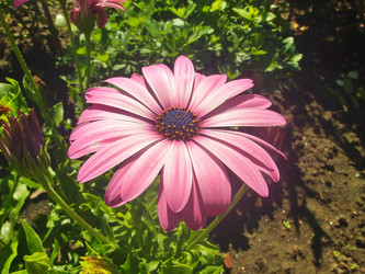 Similar image 22335413