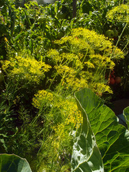 Similar image 22335414