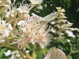 Similar image 22335415