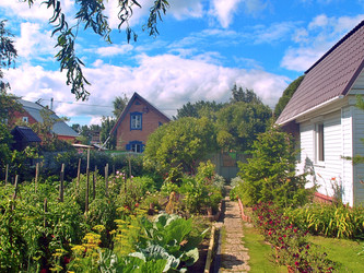 Similar image 22335417