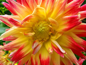 Similar image 22335418