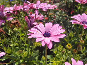 Similar image 22335421