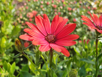 Similar image 22335422