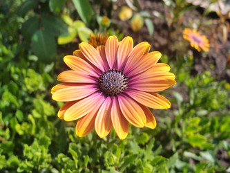 Similar image 22335424