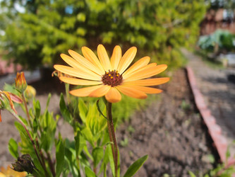 Similar image 22335425