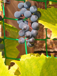 Similar image 22335428