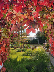 Similar image 22335429