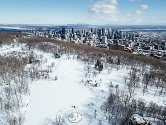 Similar image 22339468