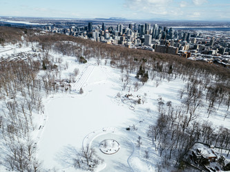 Similar image 22339476