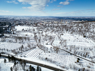 Similar image 22339477