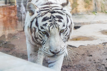 Similar image 22334034