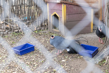 Similar image 22334035