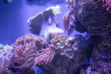 Similar image 22334036