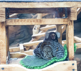 Similar image 22334037