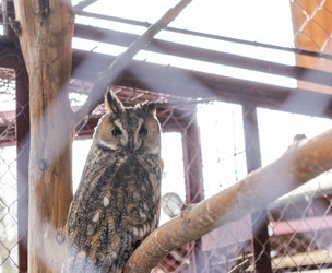 Similar image 22334041