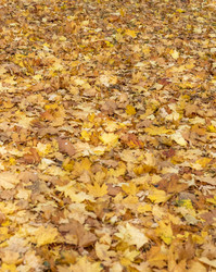 Similar image 22334042