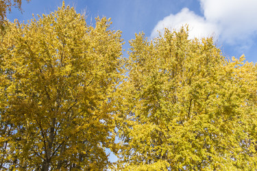 Similar image 22334049