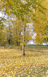 Similar image 22334050